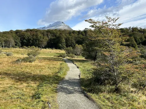 Trilha pelo Parque Nacional Terra do Fogo