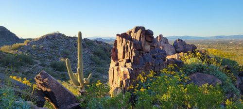 L.V. Yates Trail Loop: 352 Reviews, Map - Arizona