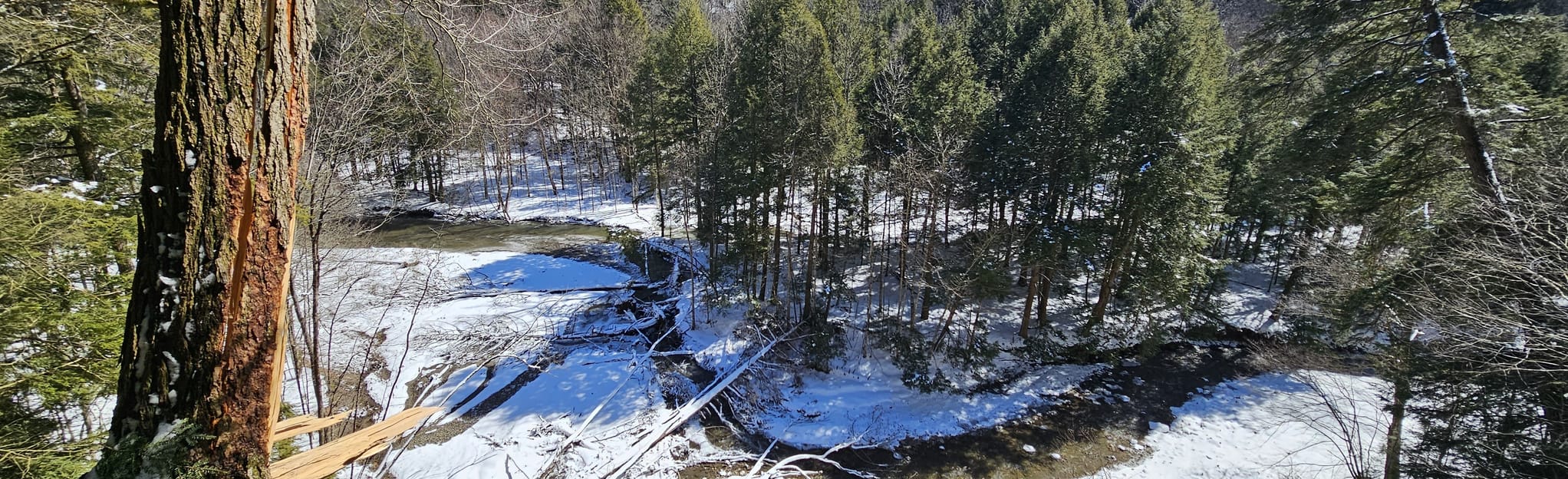 Explore Sprague Brook Park Trail AllTrails