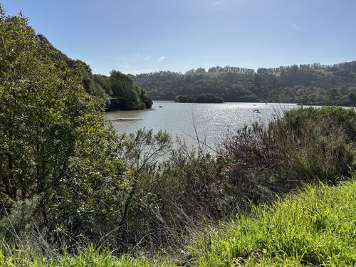 2023 Best 10 Trails And Hikes In Castro Valley Alltrails 7750