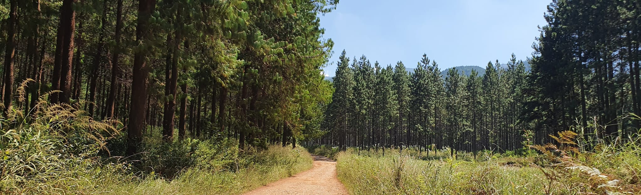 Bridal Veil Falls, Mpumalanga, South Africa 8 Reviews, Map AllTrails