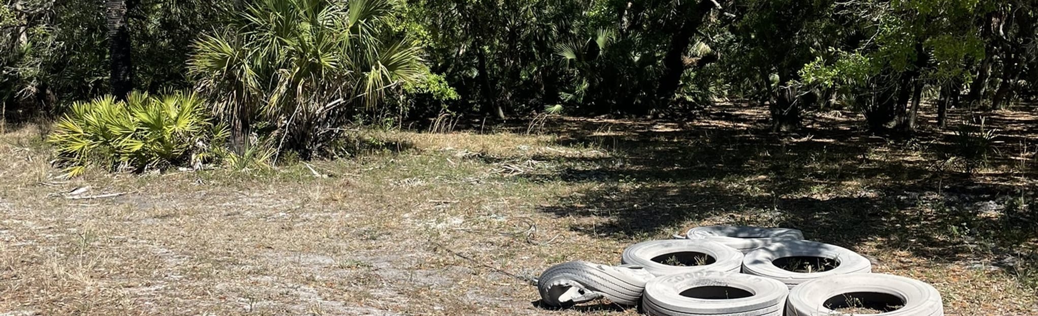 Florida Trail Bull Creek to Three Lakes, Florida Map, Guide AllTrails