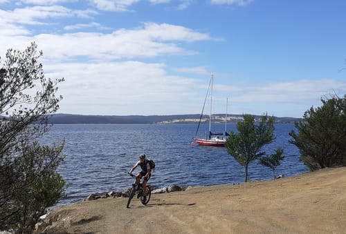 Best Hikes and Trails in Coningham Nature Recreation Area | AllTrails