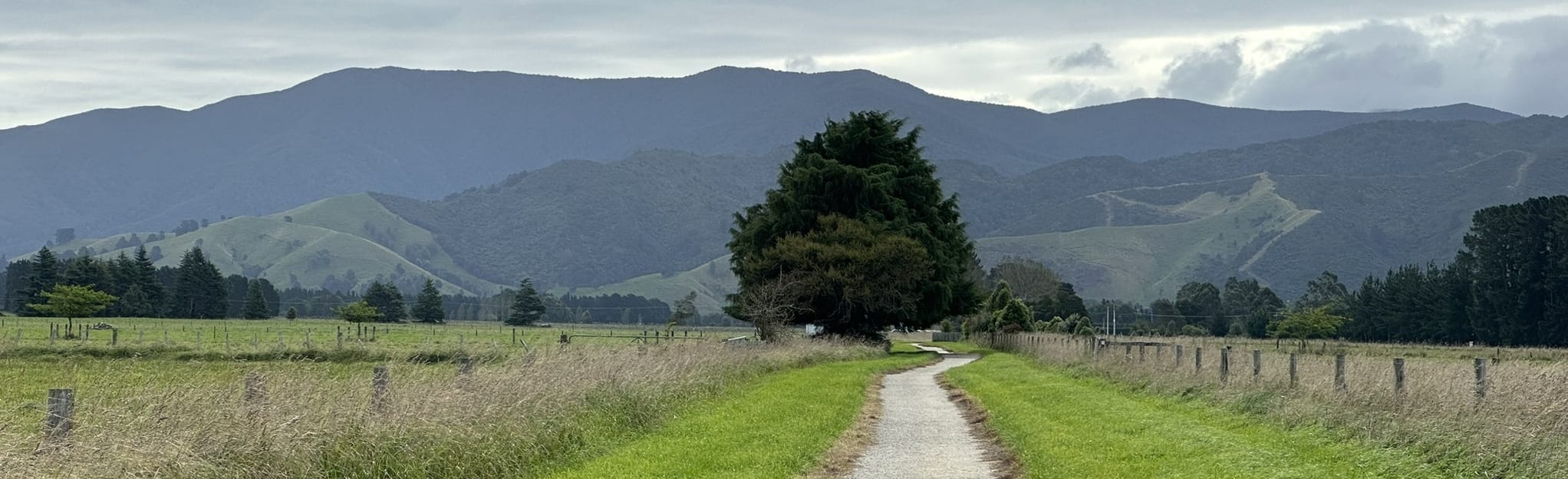 Greytown to Woodside Trail, Wellington, New Zealand 19 Reviews, Map