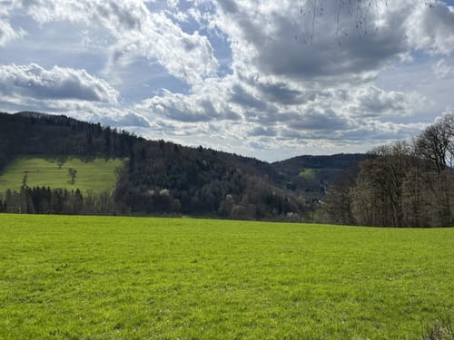 Nibelungensteig Etappe 1: Zwingenberg - Lindenfels