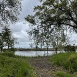 Lodi Lake Wilderness Trail, California - 709 Reviews, Map | AllTrails