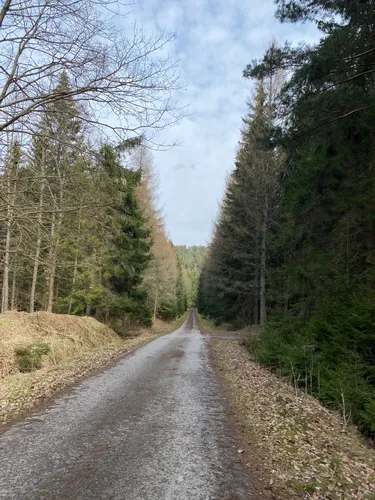 Best Lake Trails in Chráněná krajinná oblast (CHKO) Broumovsko AllTrails