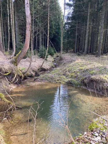 Best Lake Trails in Chráněná krajinná oblast (CHKO) Broumovsko AllTrails