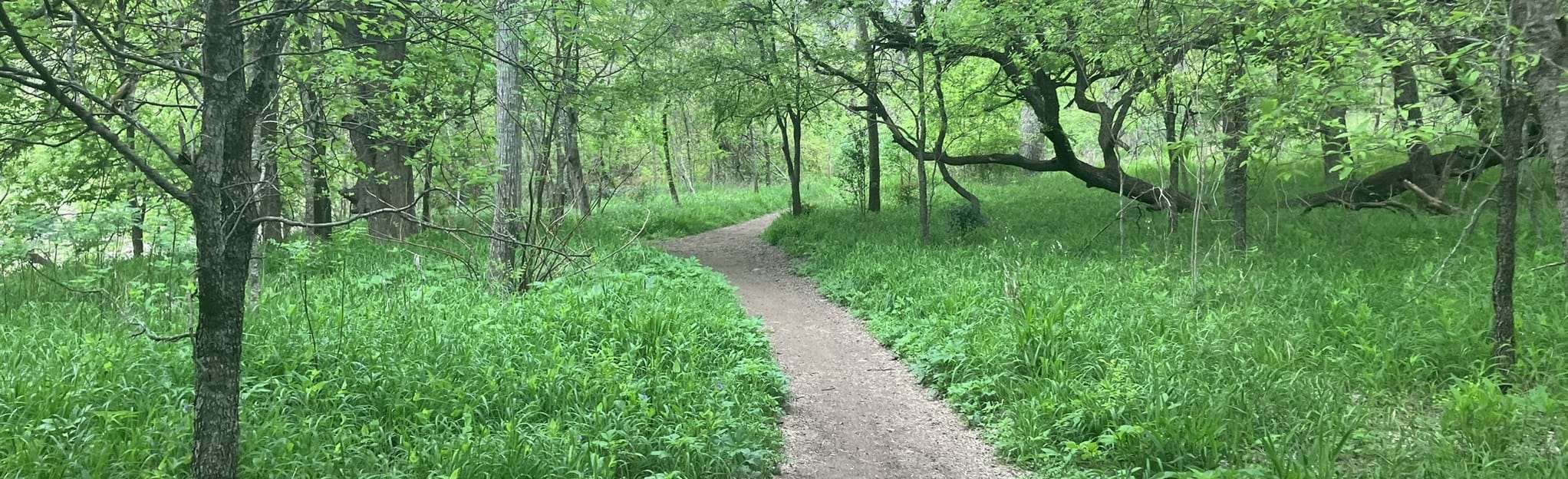 Violet Crown Trail and Barton Creek - EyJidWNrZXQiOiJhc3NldHMuYWxsdHJhaWxzLmNvbSIsImtleSI6InVwbG9hZHMvcGhvdG8vaW1hZ2UvNTc1ODQ2MTkvNGE0MDc4NjRkZGIzMjIwYWZmMmI5YTYyMDI4NWU5MzguanBnIiwiZWRpdHMiOnsidG9Gb3JtYXQiOiJqcGVnIiwicmVzaXplIjp7IndpZHRoIjoyMDQ0LCJoZWlnaHQiOjYyNCwiZml0IjoiY292ZXIifSwicm90YXRlIjpudWxsLCJqcGVnIjp7InRyZWxsaXNRdWFudGlzYXRpb24iOnRydWUsIm92ZXJzaG9vdERlcmluZ2luZyI6dHJ1ZSwib3B0aW1pc2VTY2FucyI6dHJ1ZSwicXVhbnRpc2F0aW9uVGFibGUiOjN9fX0=