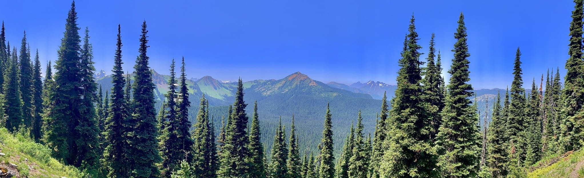 Red Mountain, British Columbia, Canada 5 Reviews, Map AllTrails