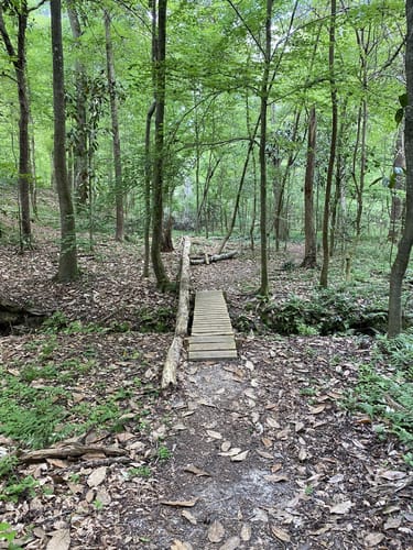 Best Hikes and Trails in Timberlane Ravine Park | AllTrails