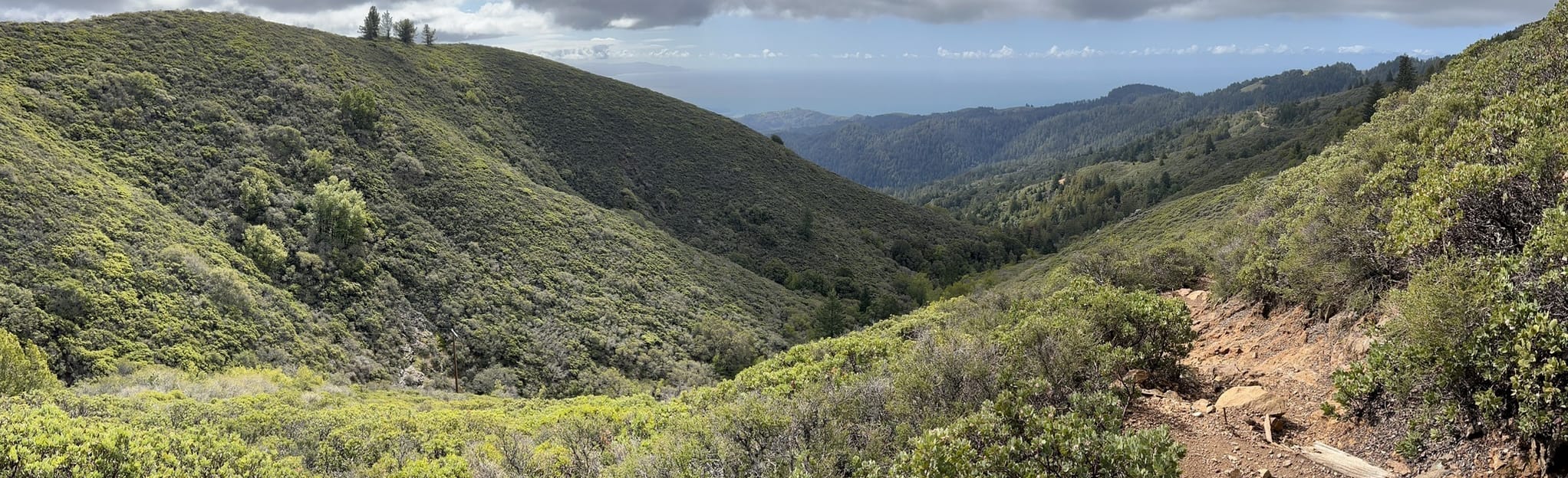 Fern Creek Trail from E Ridgecrest Road, California 76 Reviews, Map AllTrails