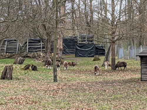 Rund um den Volkspark Rehberge