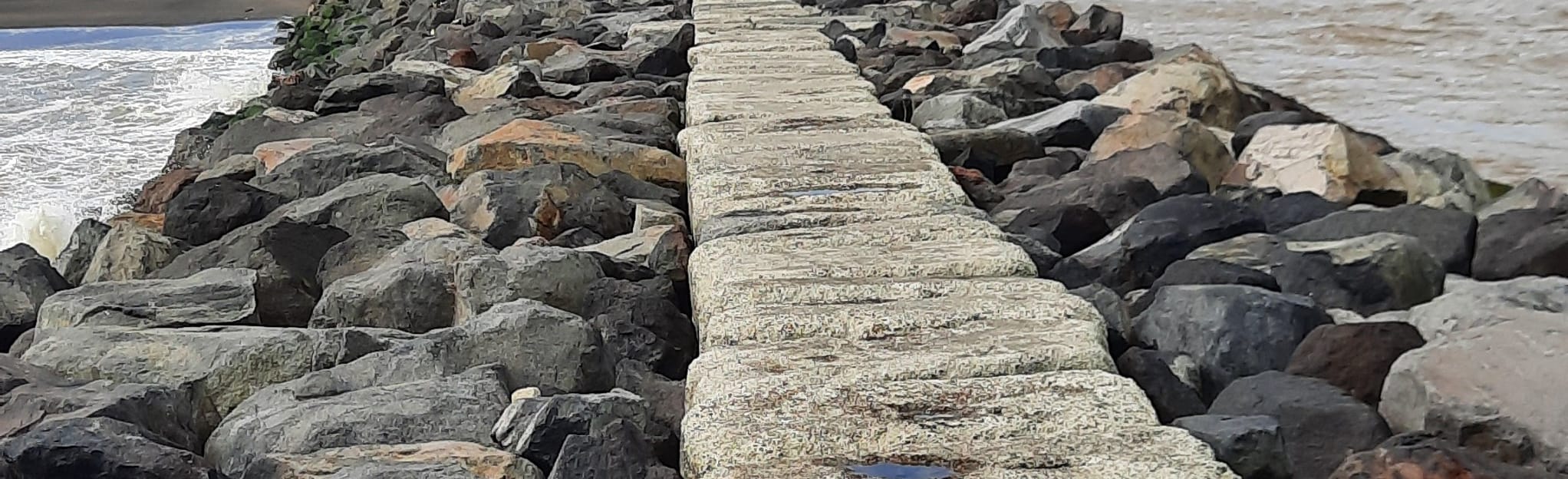 Castlecliff Beach Loop Walk 3 Reviews, Map ManawatuWanganui, New Zealand AllTrails