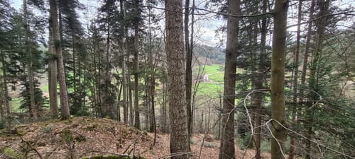 Mundingen - Tennenbach - Allmendsberg
