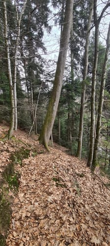 Mundingen - Tennenbach - Allmendsberg