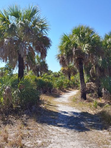 Best Hikes and Trails in Caladesi Island State Park | AllTrails