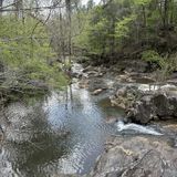 Chewacla State Park Trail, Alabama - 796 Reviews, Map | AllTrails