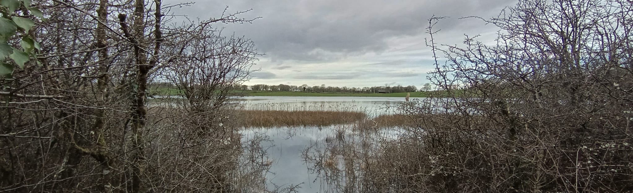 Dromore Wood Loop, County Clare, Ireland - 102 Reviews, Map | AllTrails