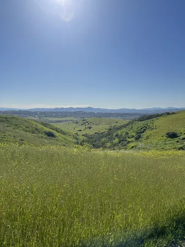 10 Best Trails and Hikes in Oceanside