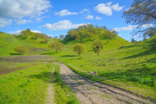 Photos of Fossil Hill Loop Trail - California | AllTrails