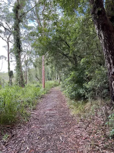 Best Hikes and Trails in Hunter Region Botanic Gardens | AllTrails