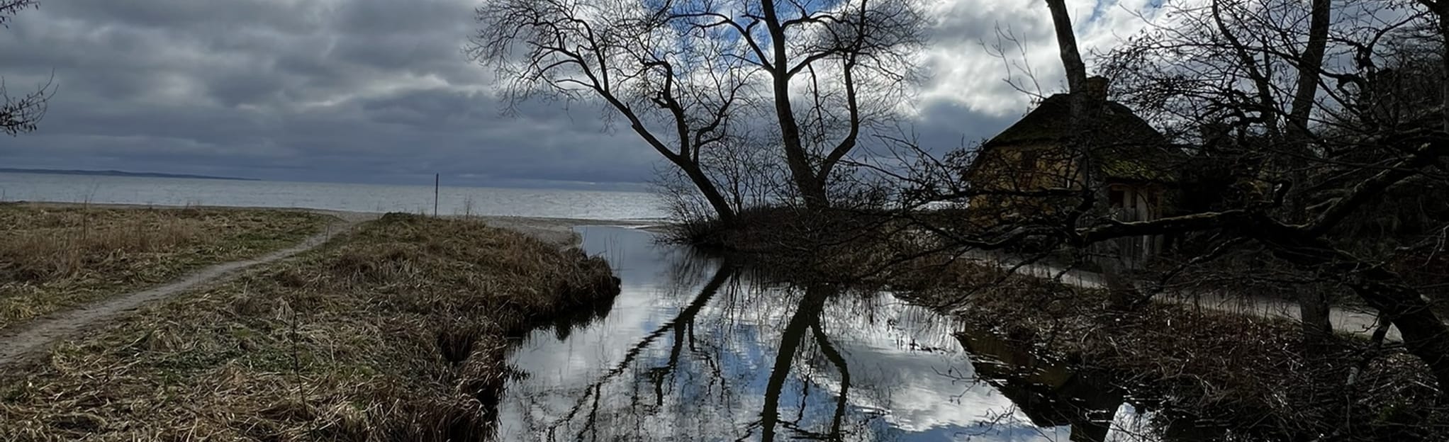 Moesgård Have Skåde Skov 46 Fotos Central Denmark, Denmark AllTrails
