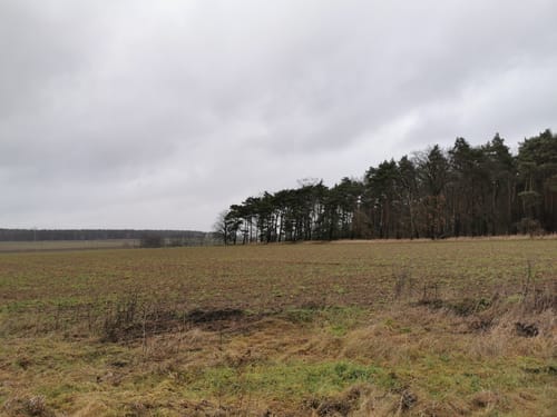 Um die Burg Rogätz entlang der Elbe
