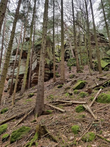 Prümzurlay (Naturpark Südeifel Wanderweg Nr. 64)