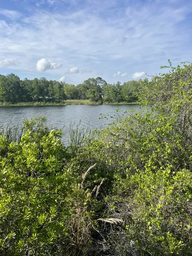 10 Best Trails and Hikes in Crystal River | AllTrails