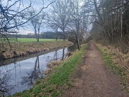Schwarzhölzl