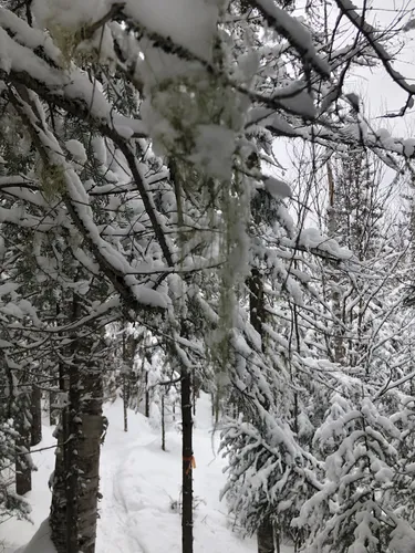 Best Lake Trails in La Corne AllTrails