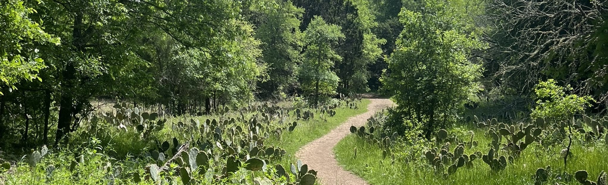 Onion Creek Greenbelt Nuckols Crossing, Texas 93 Reviews, Map AllTrails