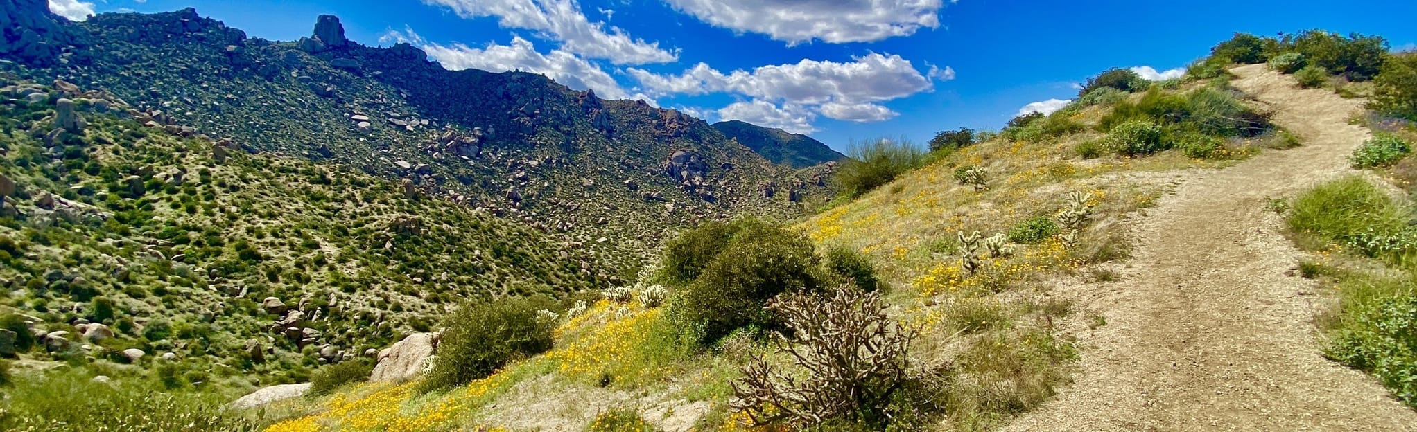 Tom's Thumb Via North Side Loop Trail, Arizona 150 Reviews, Map