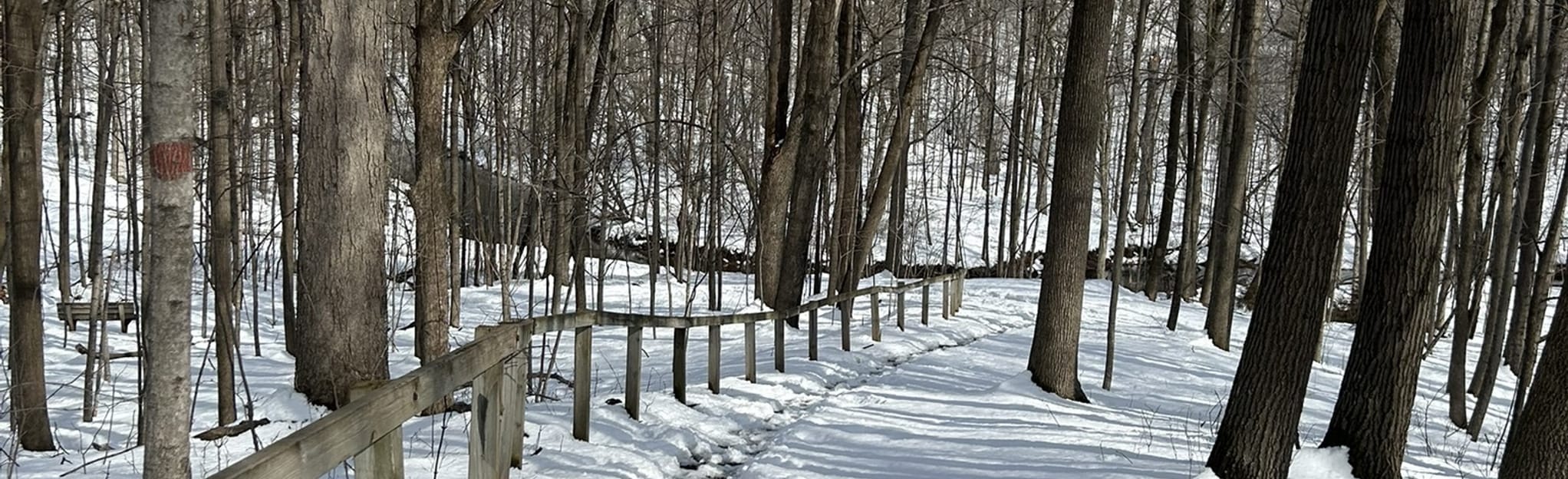 Memorial Park Trails Picnic Area Loop 14 fotos Wisconsin AllTrails