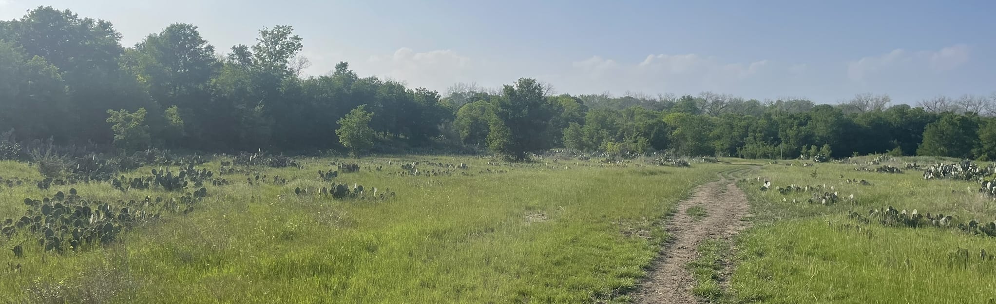 Onion Creek Metropolitan Park 199 Reviews, Map Texas AllTrails