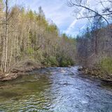 Panther Branch Trail, Tennessee - 32 Reviews, Map | AllTrails