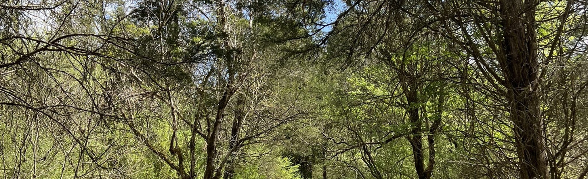 Road to Recycling Trail, Tennessee 205 Reviews, Map AllTrails