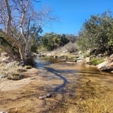 Chiva Falls Trail, Arizona - 356 Reviews, Map | AllTrails