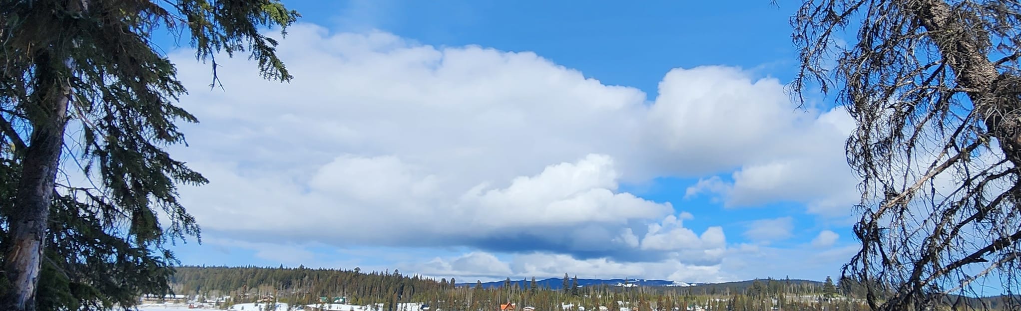 Gus Johnson Trail Loop 26 Reviews, Map British Columbia, Canada