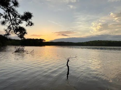 Best Hikes and Trails in Dreher Island State Park | AllTrails