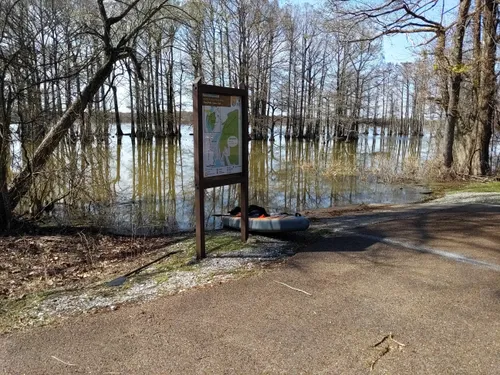 Best Hikes and Trails in Reelfoot Lake State Park