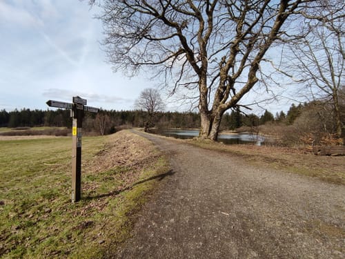 Höhenrundweg (Premiumwanderweg)