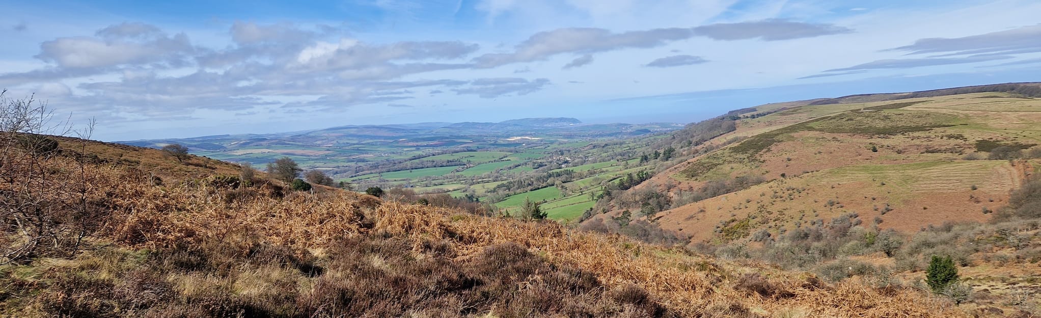 Quantocks Grand Tour, Somerset, England - 35 Reviews, Map | AllTrails