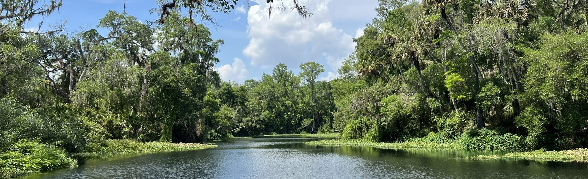 Dead River Trail, Florida 254 Reviews, Map AllTrails