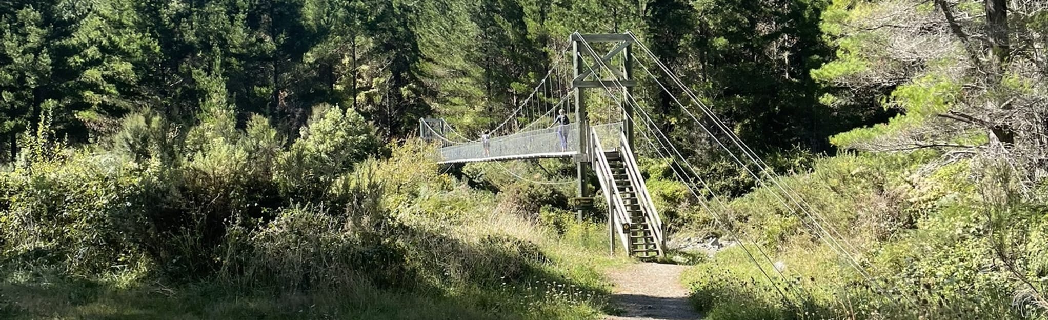 Hacket Hut Track: 17 Reviews, Map - Nelson-Tasman, New Zealand | AllTrails