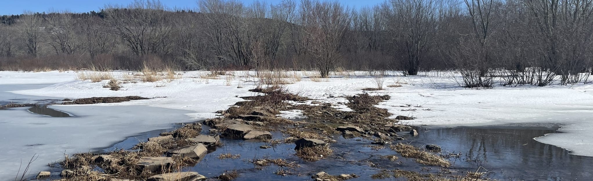 Belleisle Creek Marsh Trail 7 Reviews, Map New Brunswick, Canada