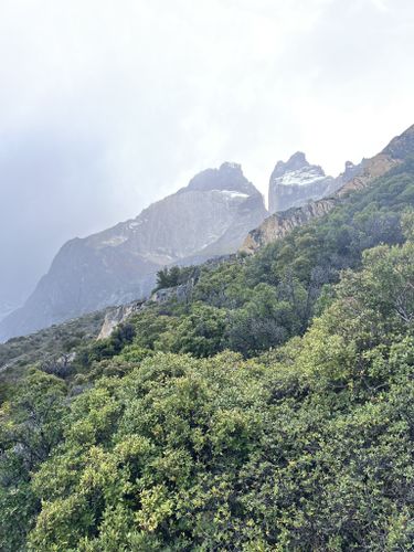 Camping Francés - Refugio Chileno: 781 fotos - Magallanes, Chile