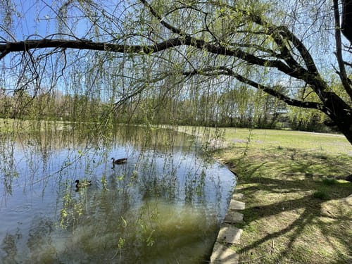Best Hikes and Trails in Perrin Family Park | AllTrails