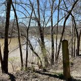 Rock Hollow Trail, Missouri - 806 Reviews, Map | AllTrails